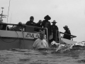   snapped this my cousins Canon G10. Believe deckhand white shirt dry. stern boat dropped when swell passed it. crest was between me. standing platform. G10 dry it me platform  